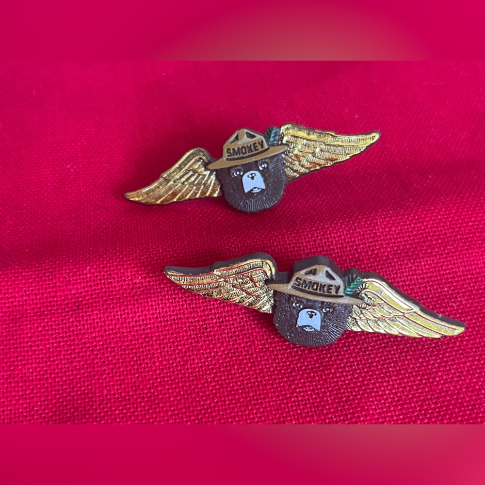 Smokey Bear Winged Pins - Picture 1 of 5